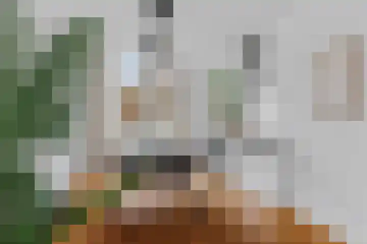 Zaagmolenkade 43 BS Utrecht thumbnail 9