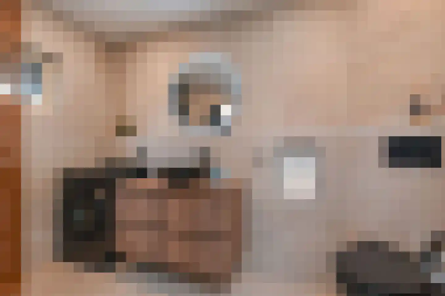 Zaagmolenkade 50 Gouda thumbnail 18
