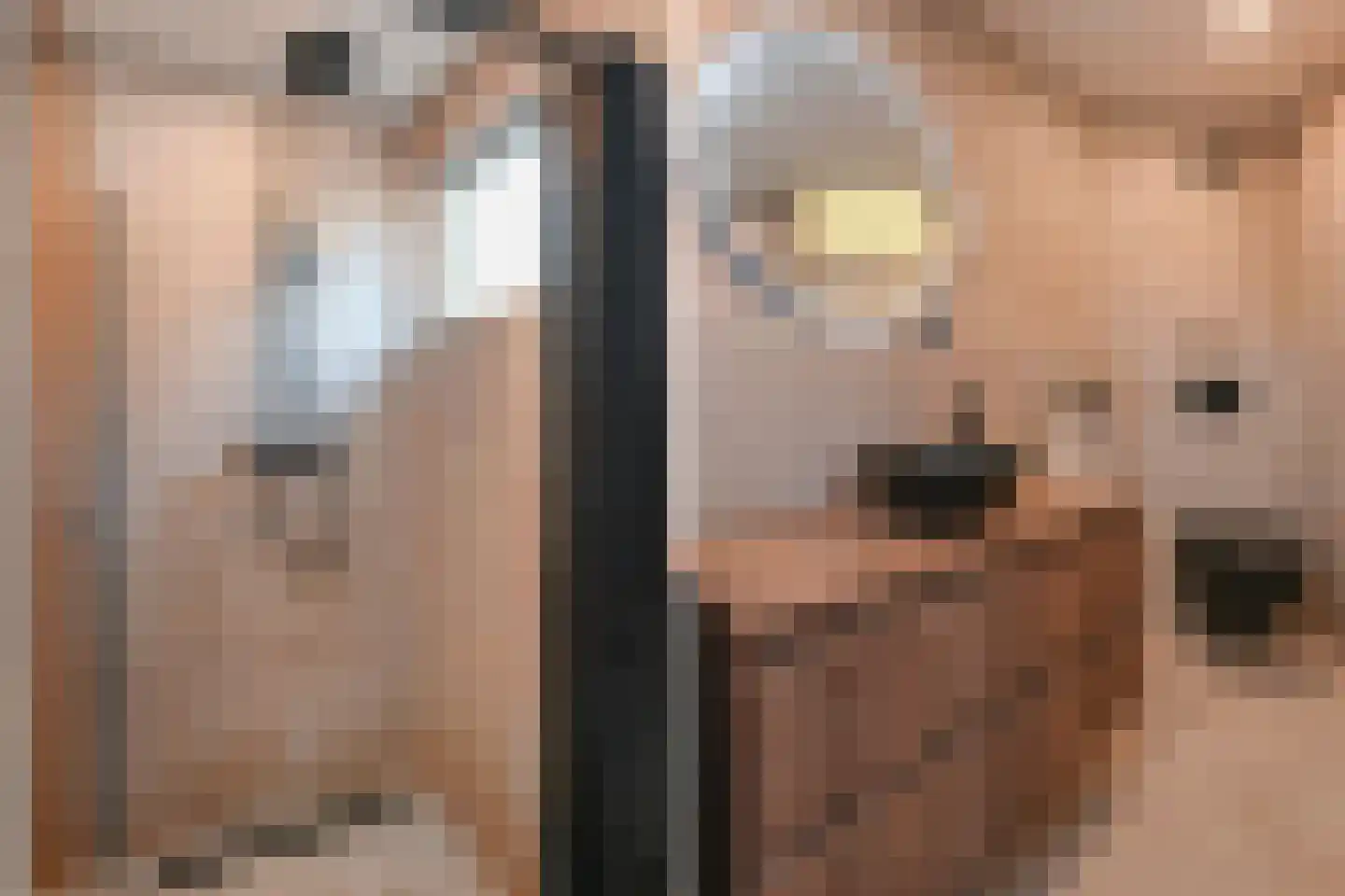 Zaagmolenkade 50 Gouda thumbnail 20