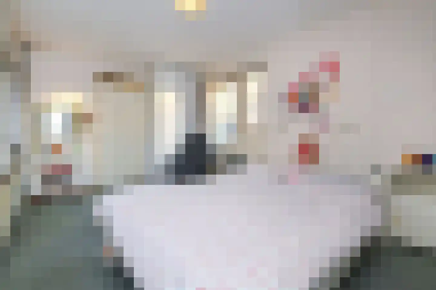 Zaagmolenkade 50 Gouda thumbnail 21