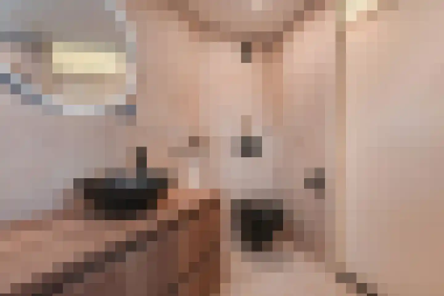 Zaagmolenkade 50 Gouda thumbnail 4