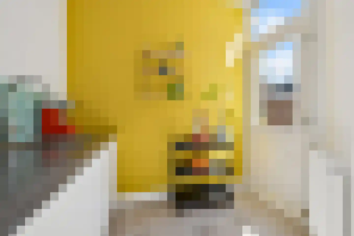 Zaagmolenkade 6 BS Utrecht thumbnail 16