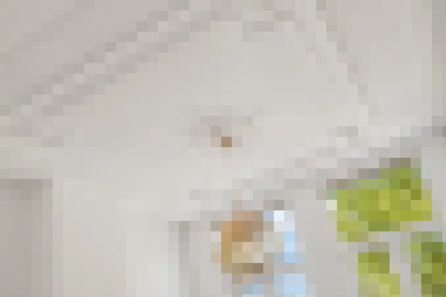Zaagmolenkade 6 BS Utrecht thumbnail 8