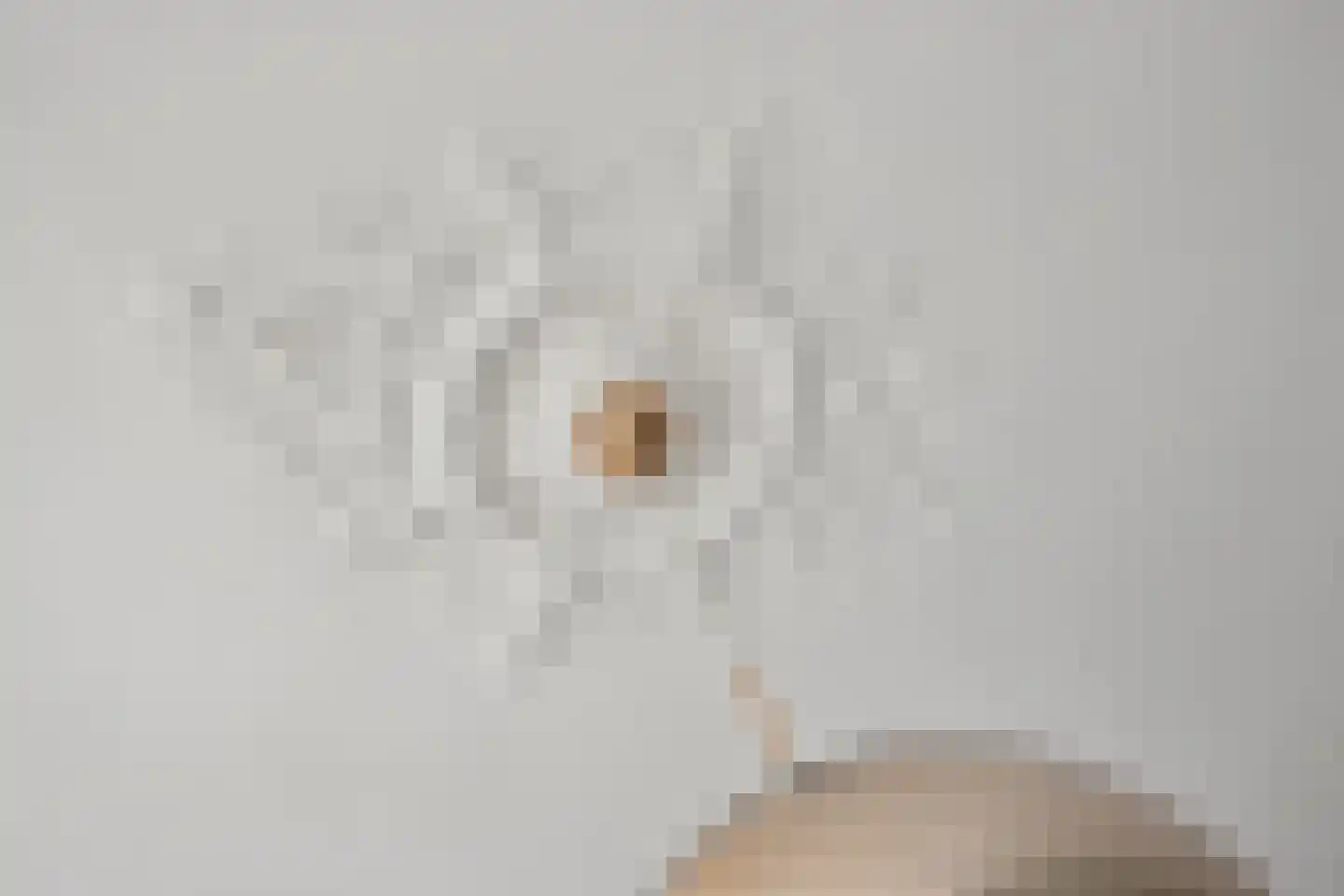 Zaagmolenkade 6 BS Utrecht thumbnail 9