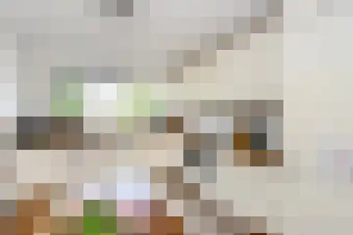 Zaagmolenkade 8 Gouda thumbnail 10
