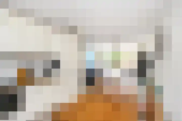 Zaagmolenkade 8 Gouda thumbnail 11