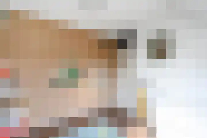 Zaagmolenkade 8 Gouda thumbnail 22