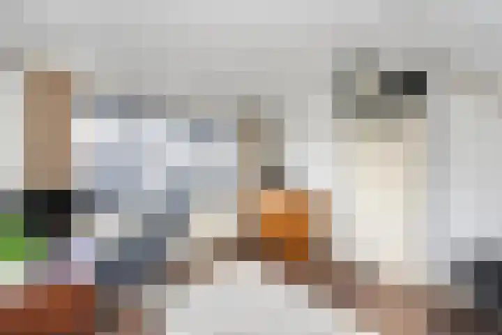 Zaagmolenkade 8 Gouda thumbnail 26