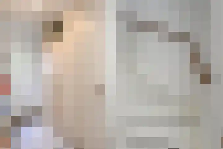 Zaagmolenkade 8 Gouda thumbnail 5