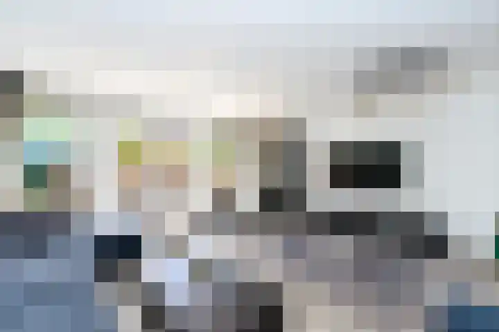 Zaagmolenkade 8 Gouda thumbnail 7