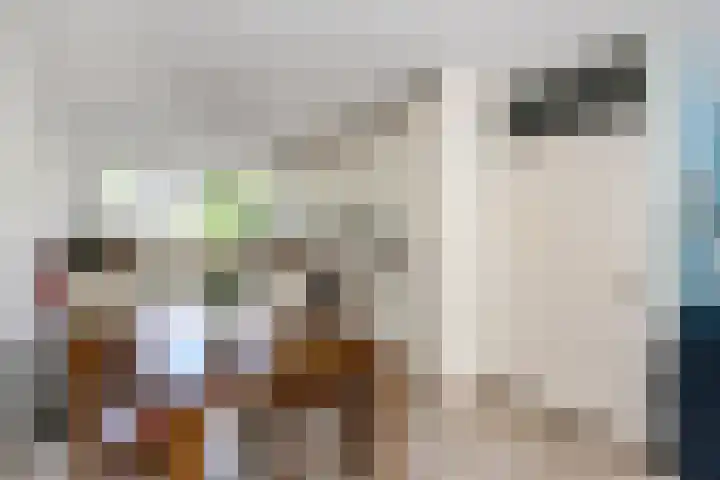 Zaagmolenkade 8 Gouda thumbnail 9