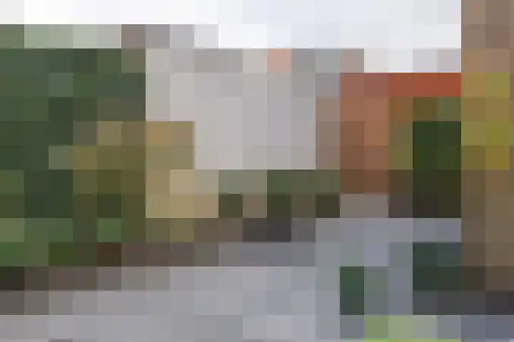 Zaagmolenpad 17 C Doetinchem thumbnail 16