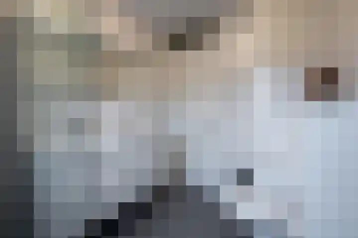 Zaagmolenpad 17 C Doetinchem thumbnail 31