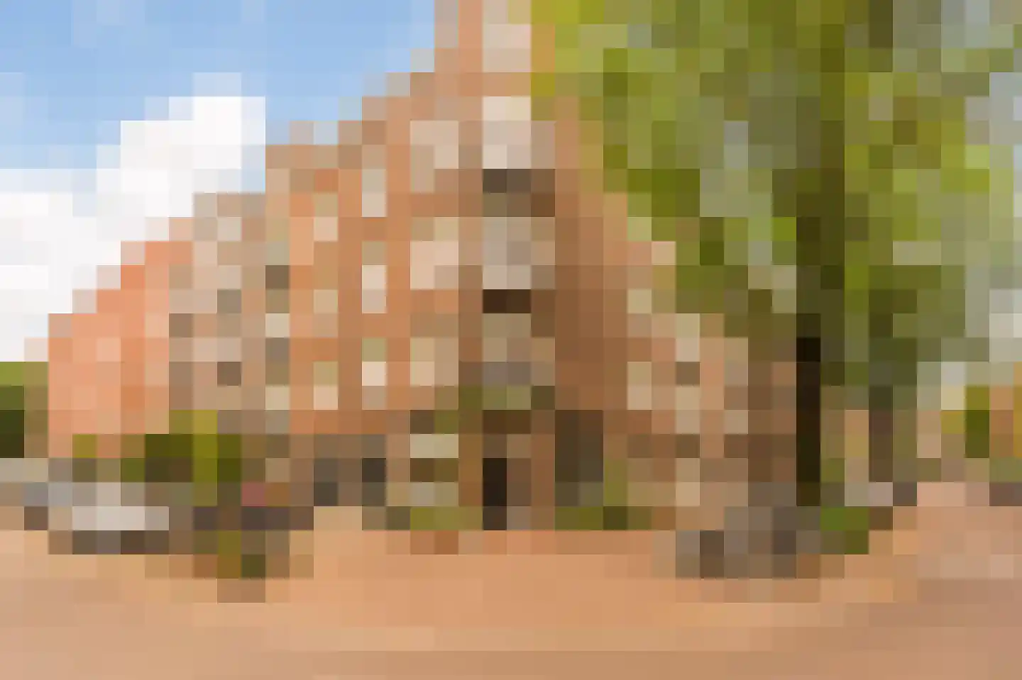 Zaagmolenstraat 10 H Amsterdam thumbnail 25