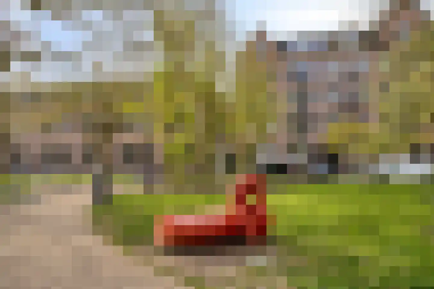 Zaagmolenstraat 2 1 Amsterdam thumbnail 21