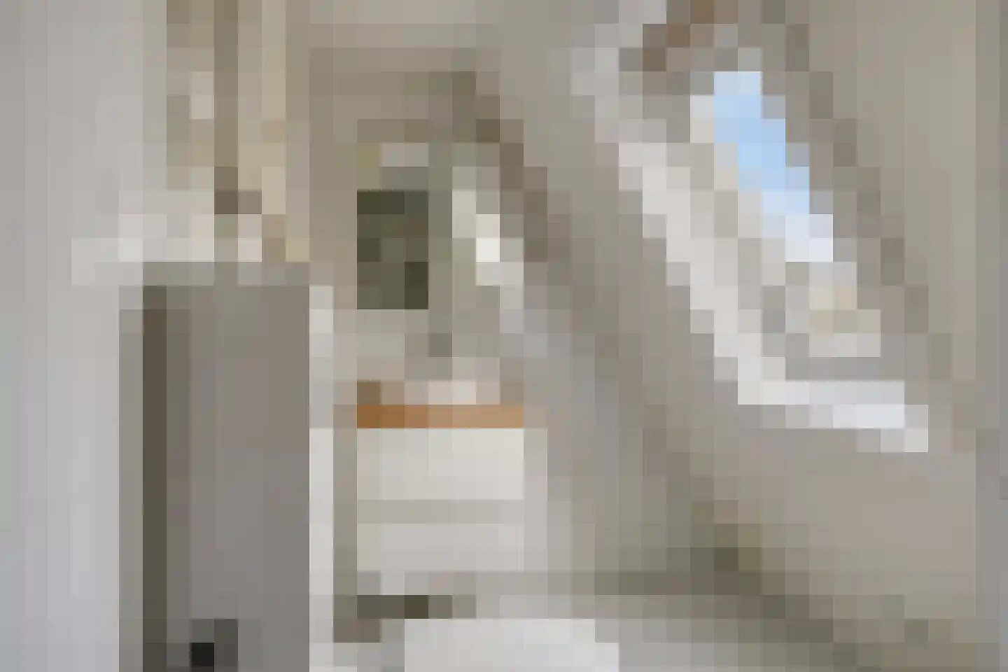 Zaagmolenstraat 2 1 Amsterdam thumbnail 4