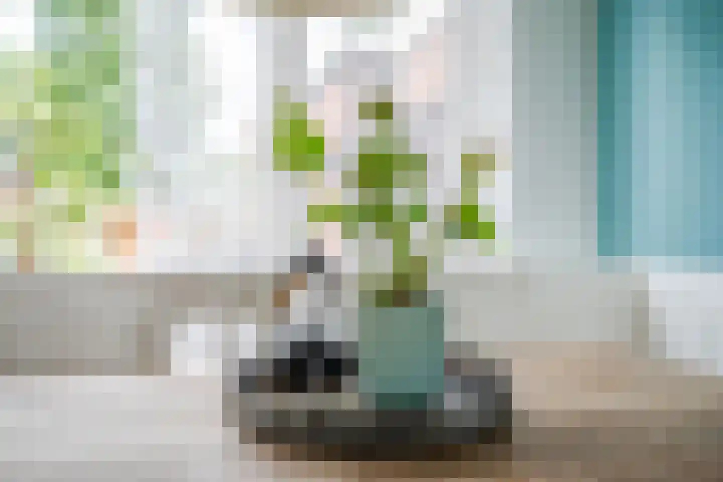 Zaagmolenstraat 21 Nieuwe Niedorp thumbnail 15