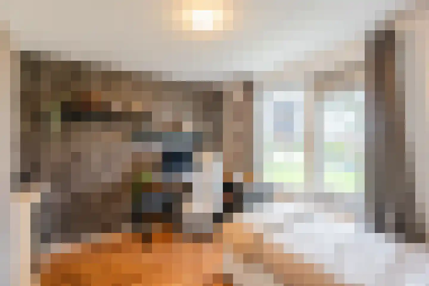 Zaagmolenstraat 21 Nieuwe Niedorp thumbnail 35