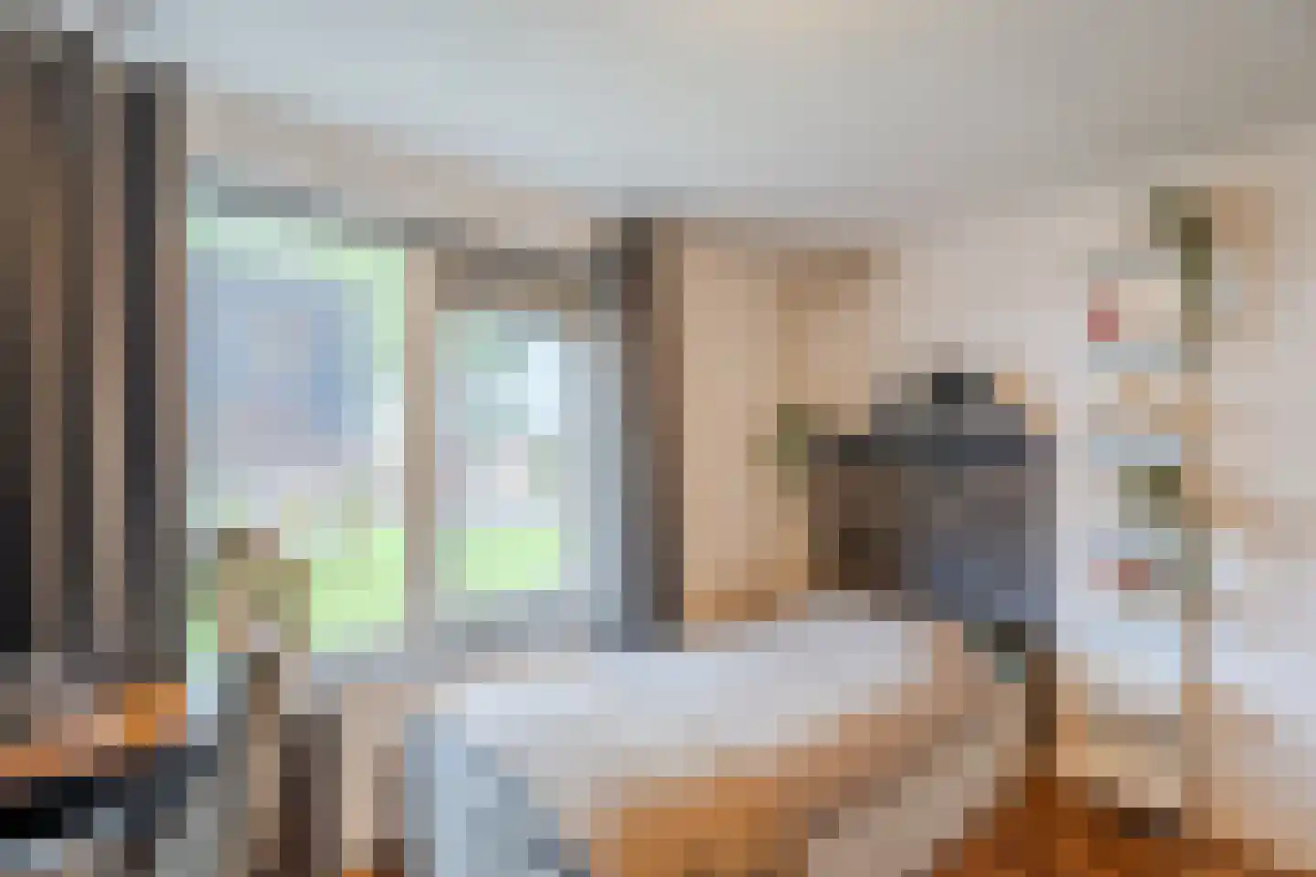 Zaagmolenstraat 21 Nieuwe Niedorp thumbnail 38