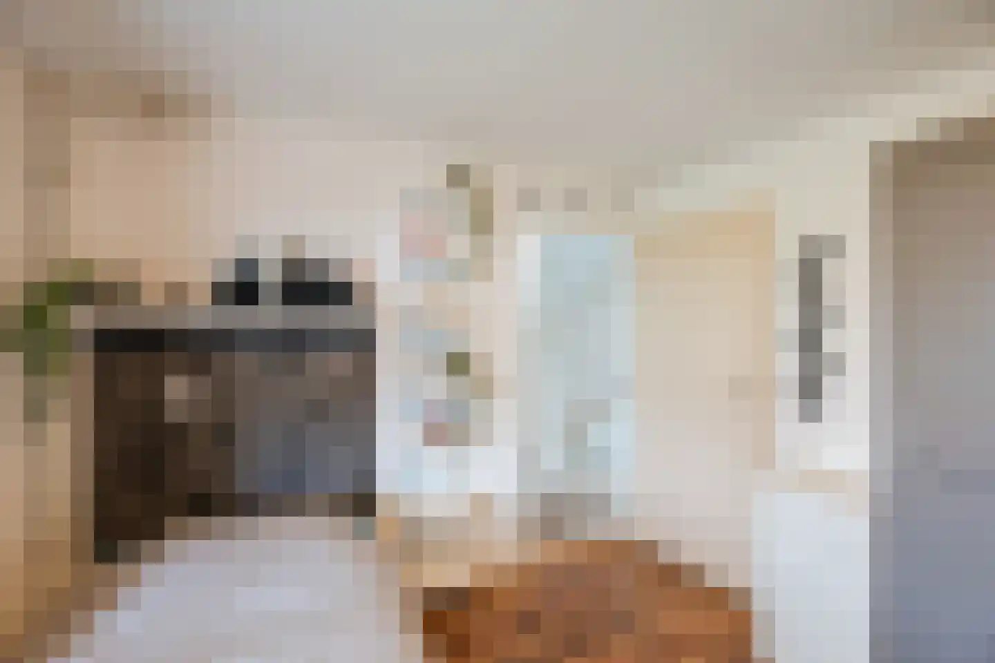Zaagmolenstraat 21 Nieuwe Niedorp thumbnail 39