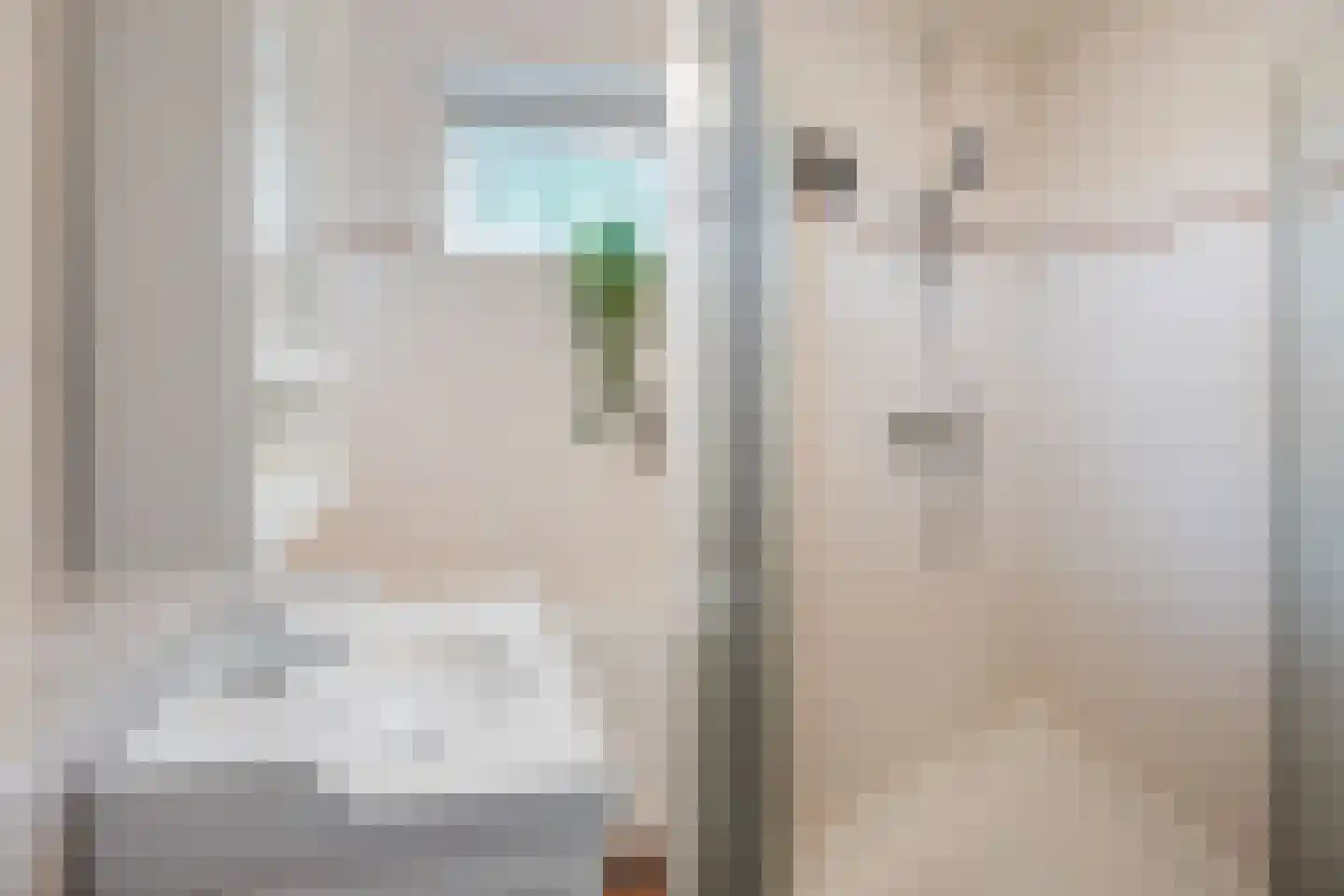 Zaagmolenstraat 21 Nieuwe Niedorp thumbnail 46