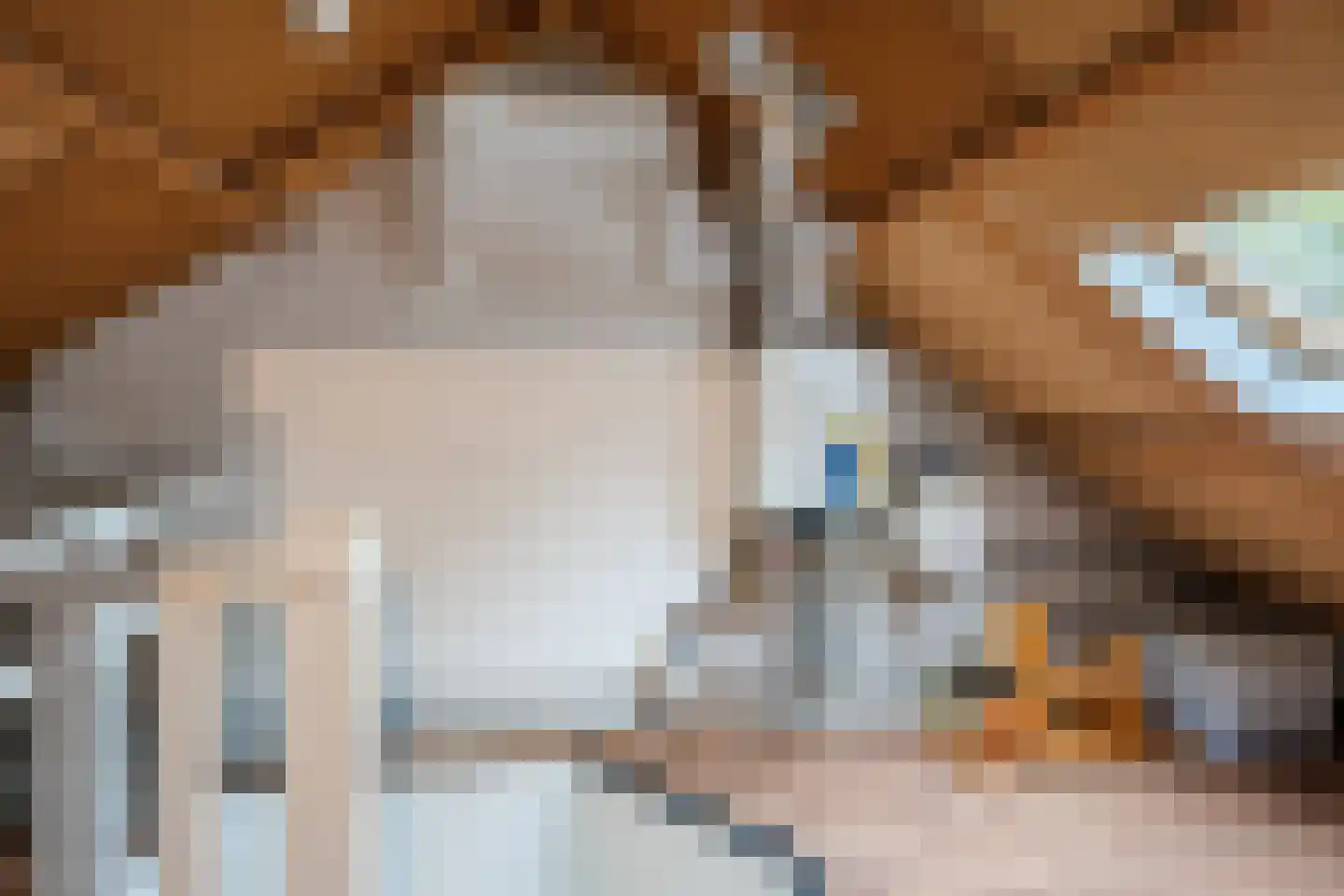 Zaagmolenstraat 21 Nieuwe Niedorp thumbnail 56