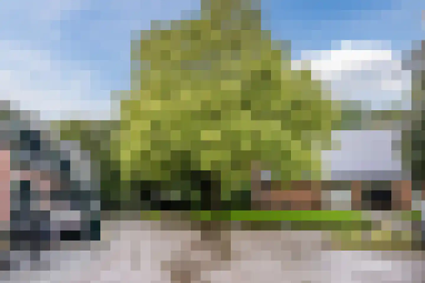 Zaagmolenstraat 21 Nieuwe Niedorp thumbnail 70