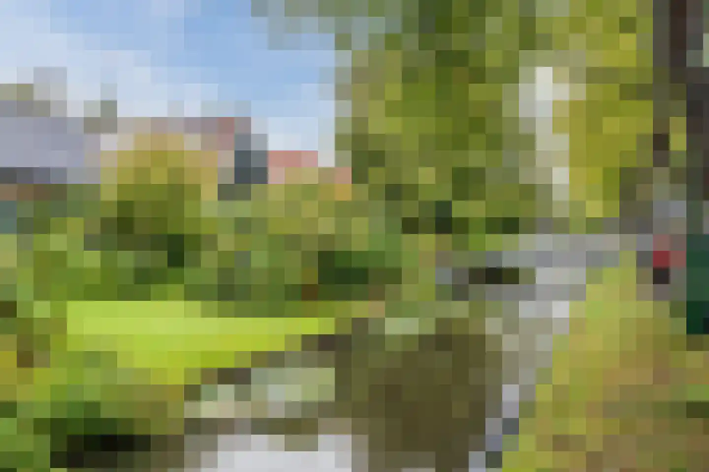 Zaagmolenstraat 21 Nieuwe Niedorp thumbnail 71
