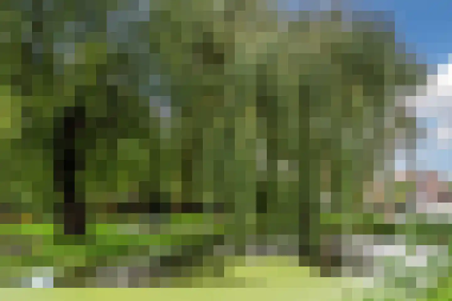 Zaagmolenstraat 21 Nieuwe Niedorp thumbnail 73