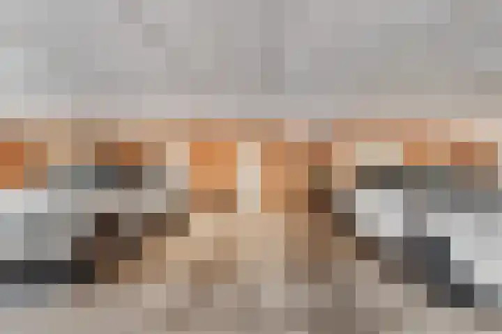 Zaagmolenstraat 31 Alkmaar thumbnail 12