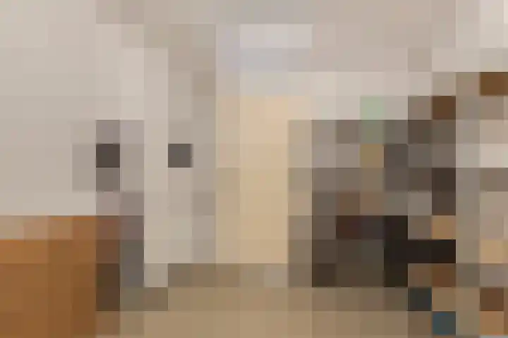 Zaagmolenstraat 31 Alkmaar thumbnail 13
