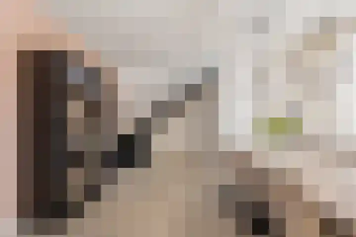 Zaagmolenstraat 31 Alkmaar thumbnail 14