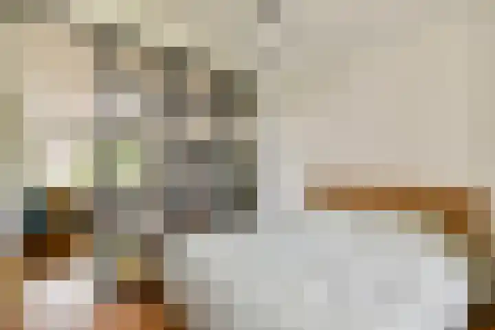 Zaagmolenstraat 32 5 Amsterdam thumbnail 8