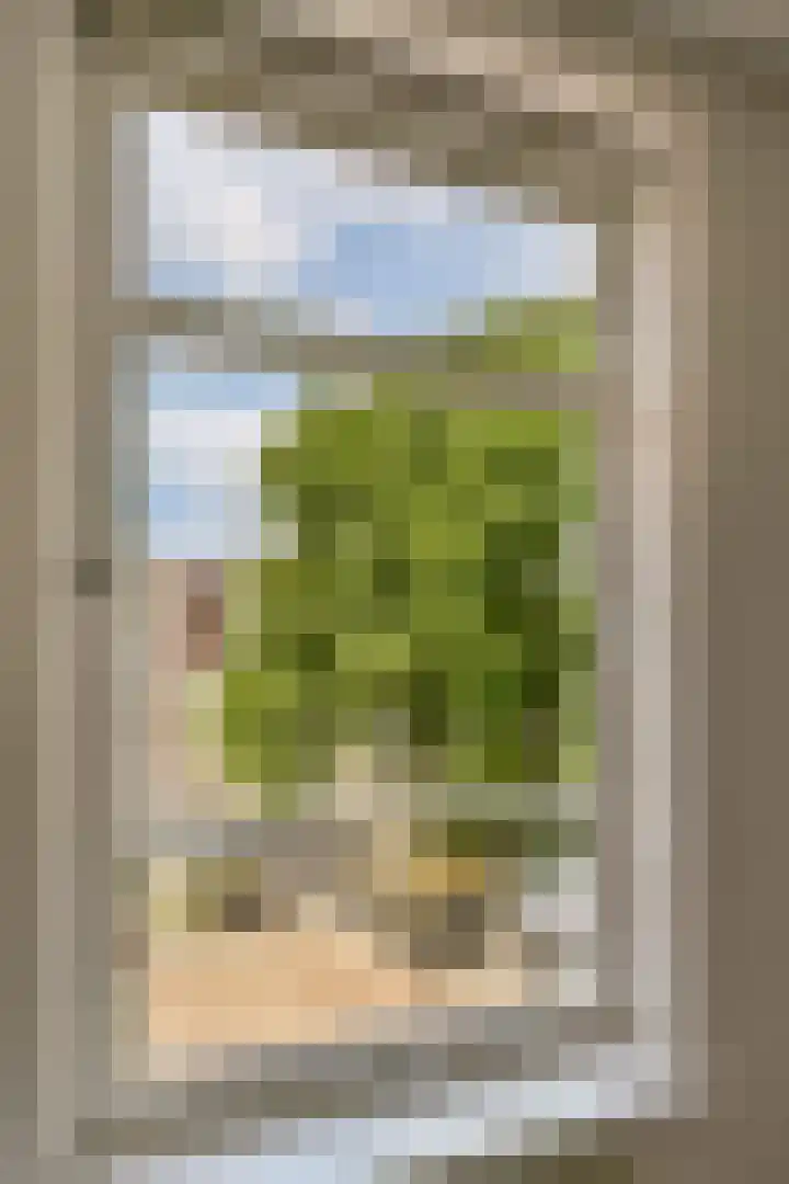 Zaagmolenstraat 32 5 Amsterdam thumbnail 9