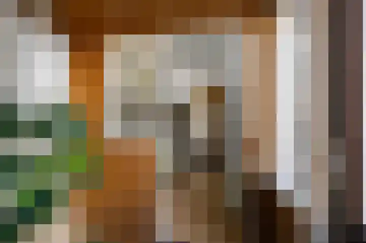 Zaagmolenstraat 34 Alkmaar thumbnail 11