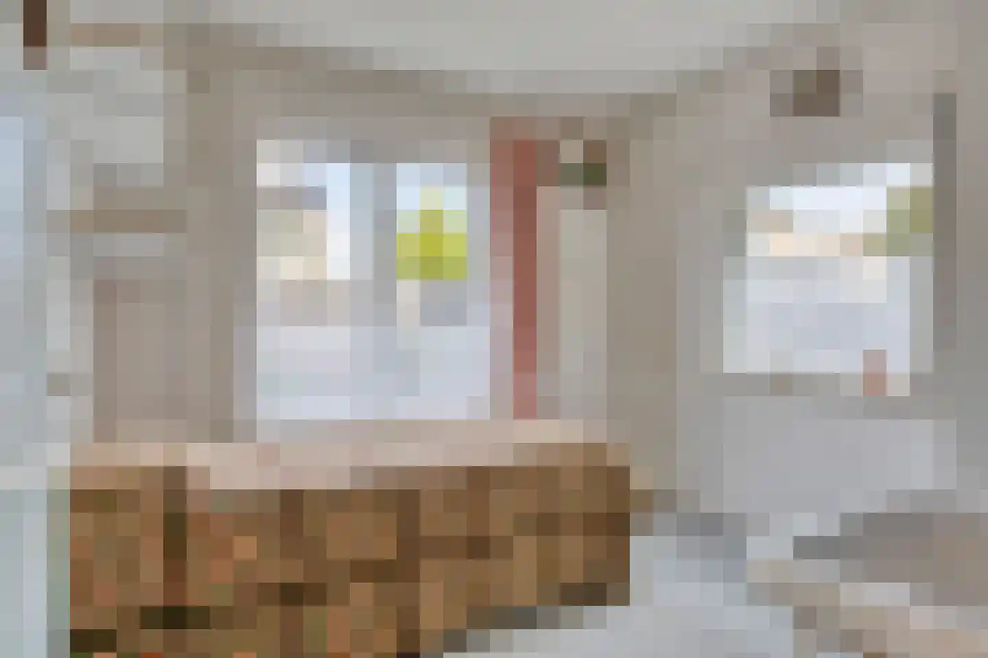 Zaagmolenstraat 42 Nieuwe Niedorp thumbnail 13