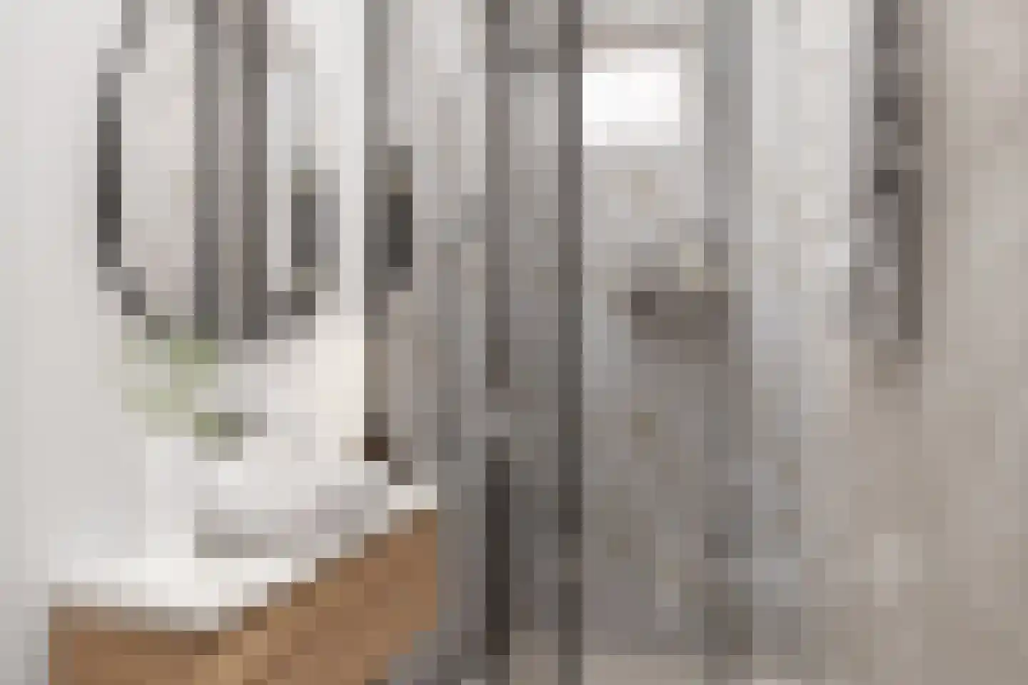 Zaagmolenstraat 42 Nieuwe Niedorp thumbnail 17