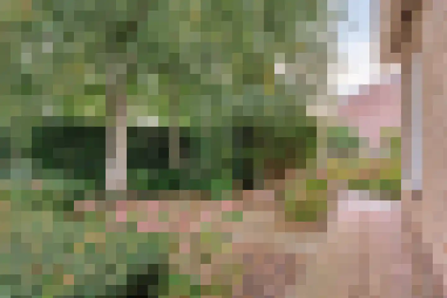 Zaagmolenstraat 42 Nieuwe Niedorp thumbnail 20