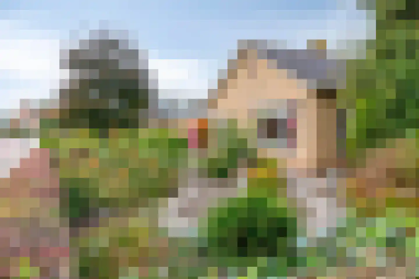Zaagmolenstraat 42 Nieuwe Niedorp thumbnail 22
