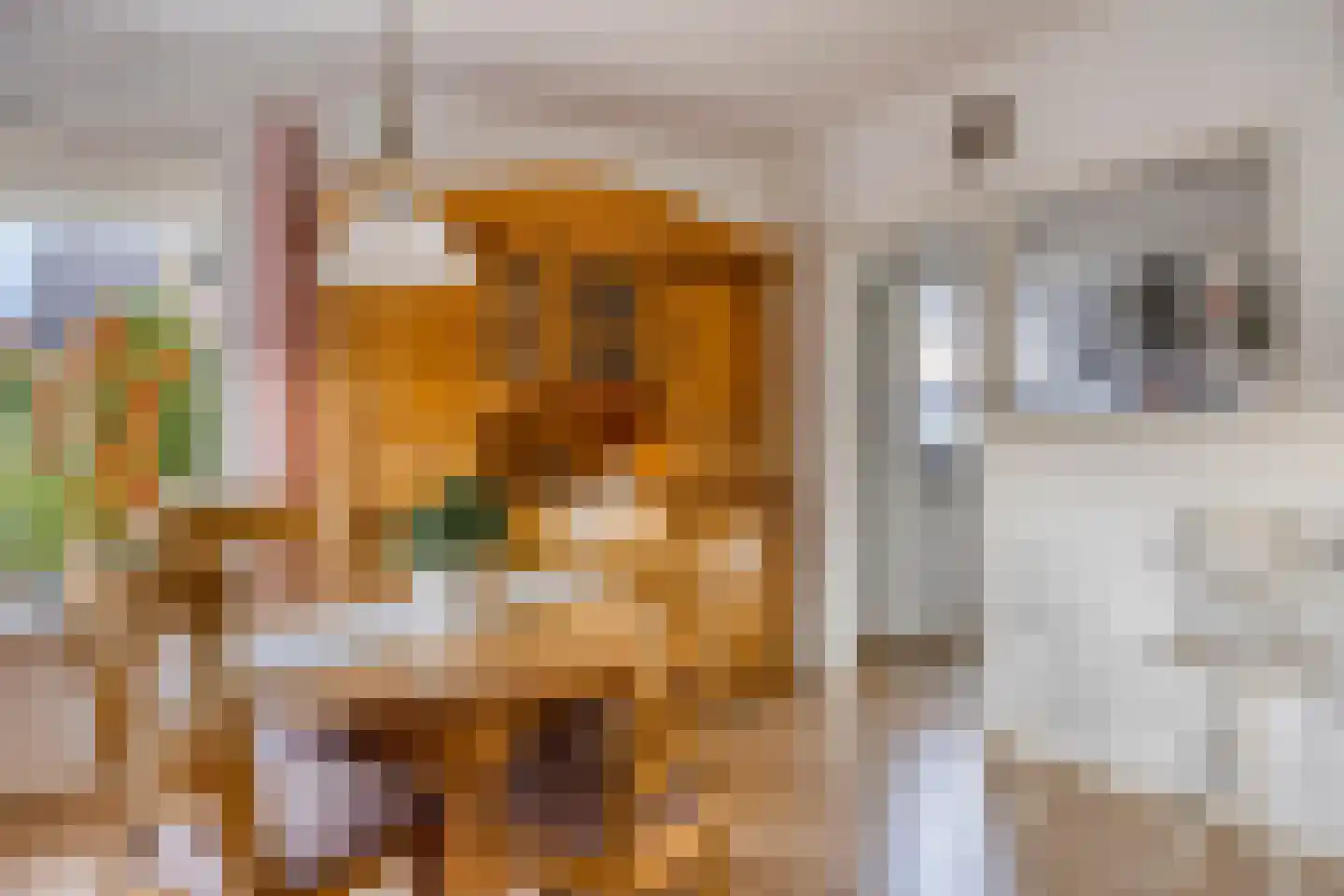 Zaagmolenstraat 42 Nieuwe Niedorp thumbnail 6