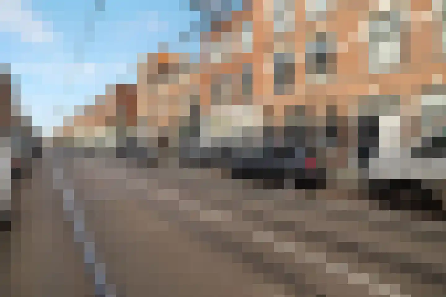Zaagmolenstraat 43 A 01 Rotterdam thumbnail 25