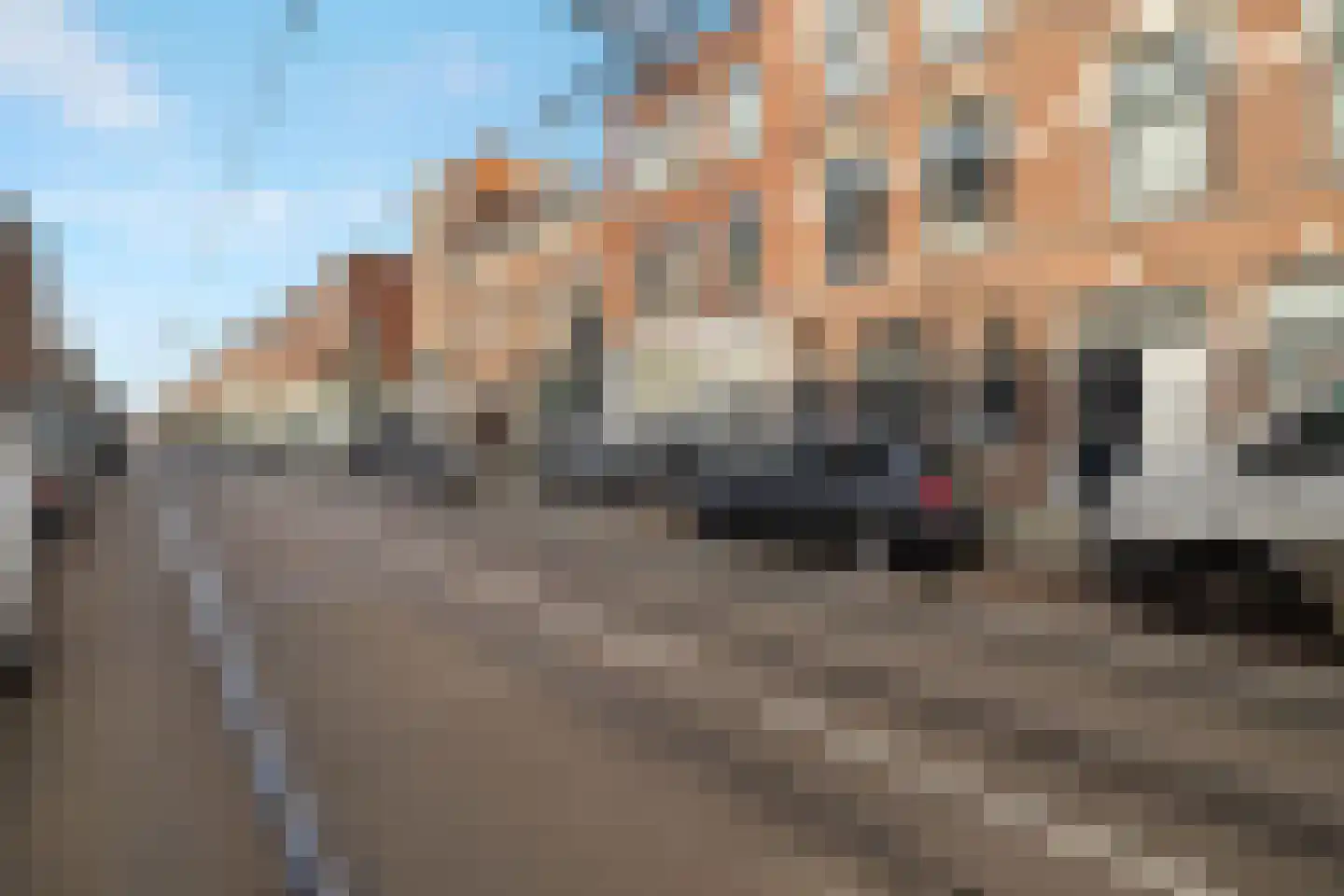 Zaagmolenstraat 43 A 01 Rotterdam thumbnail 25