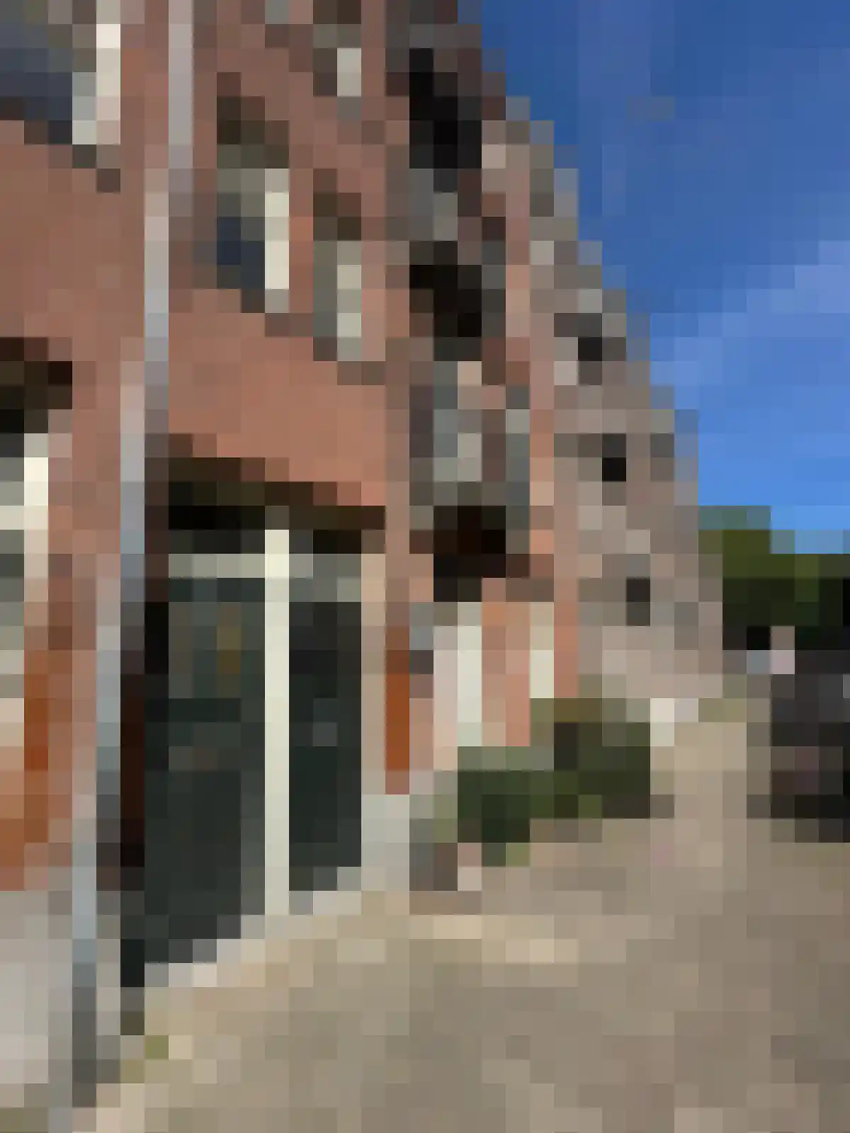 Zaagmolenstraat 6 2 Amsterdam