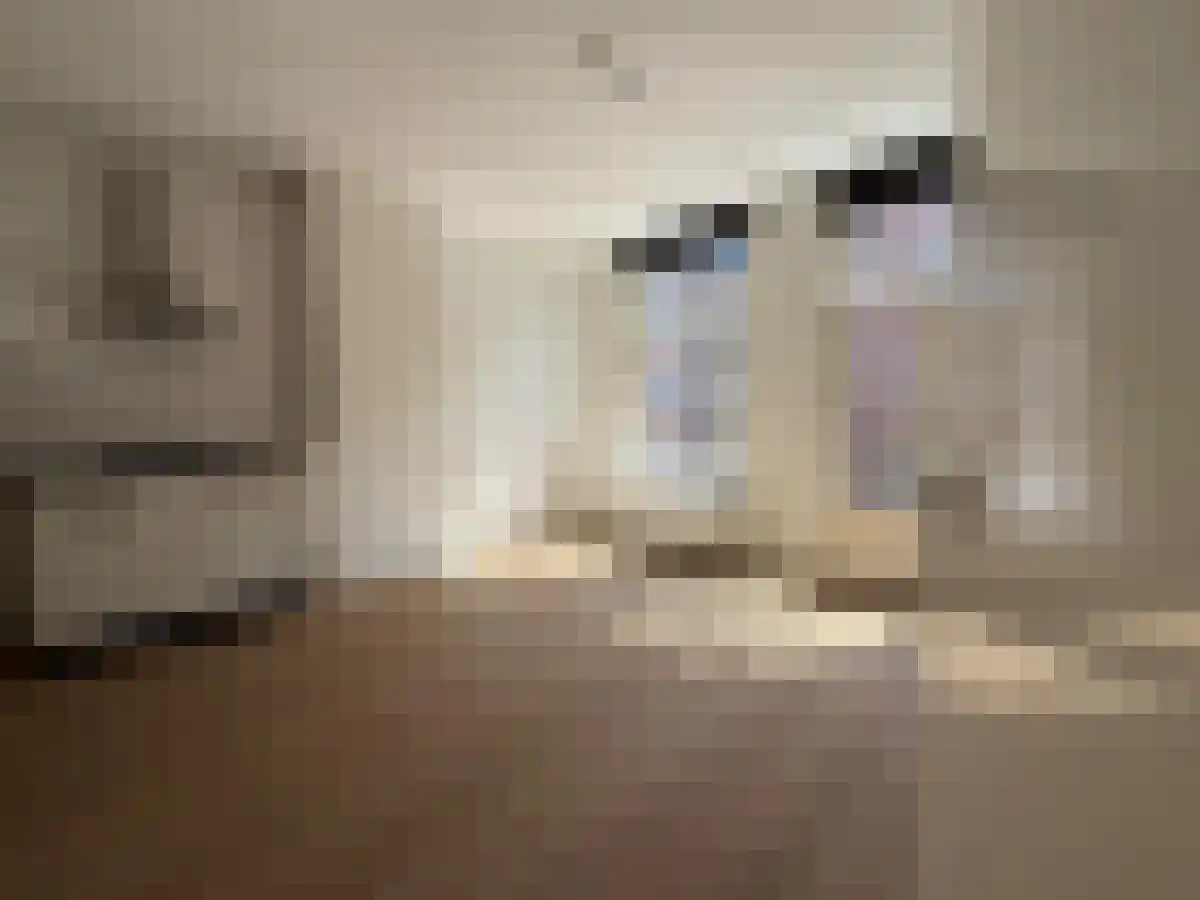 Zaagmolenstraat 6 2 Amsterdam thumbnail 4