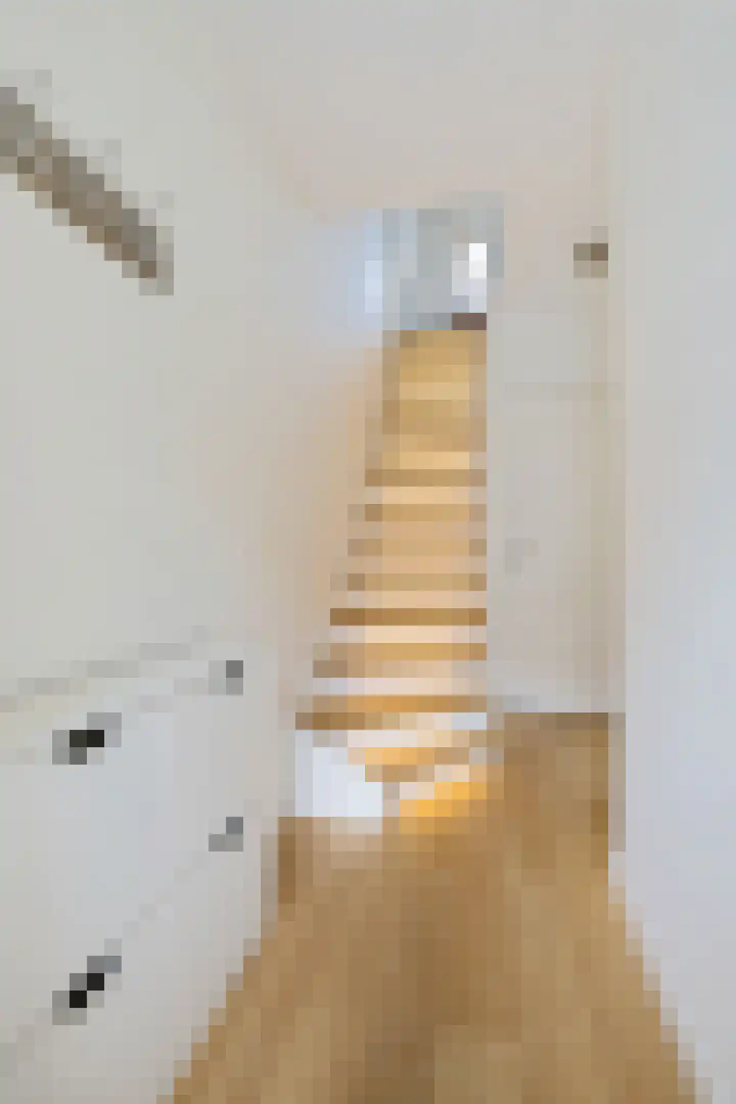 Zaagmolenstraat 6 Alkmaar thumbnail 11