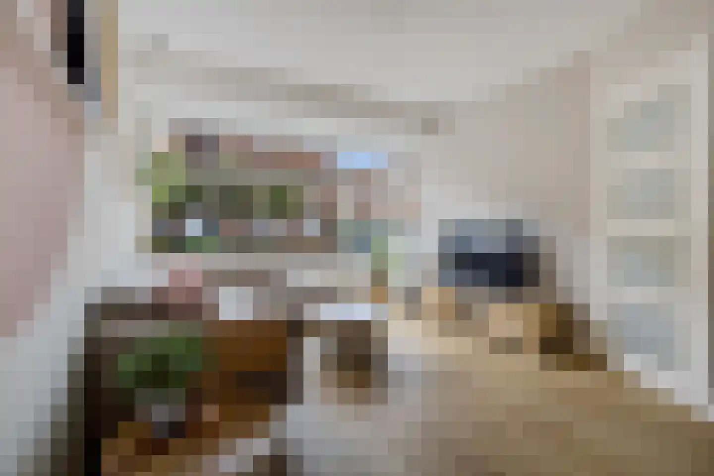 Zaagmolenstraat 6 Alkmaar thumbnail 14