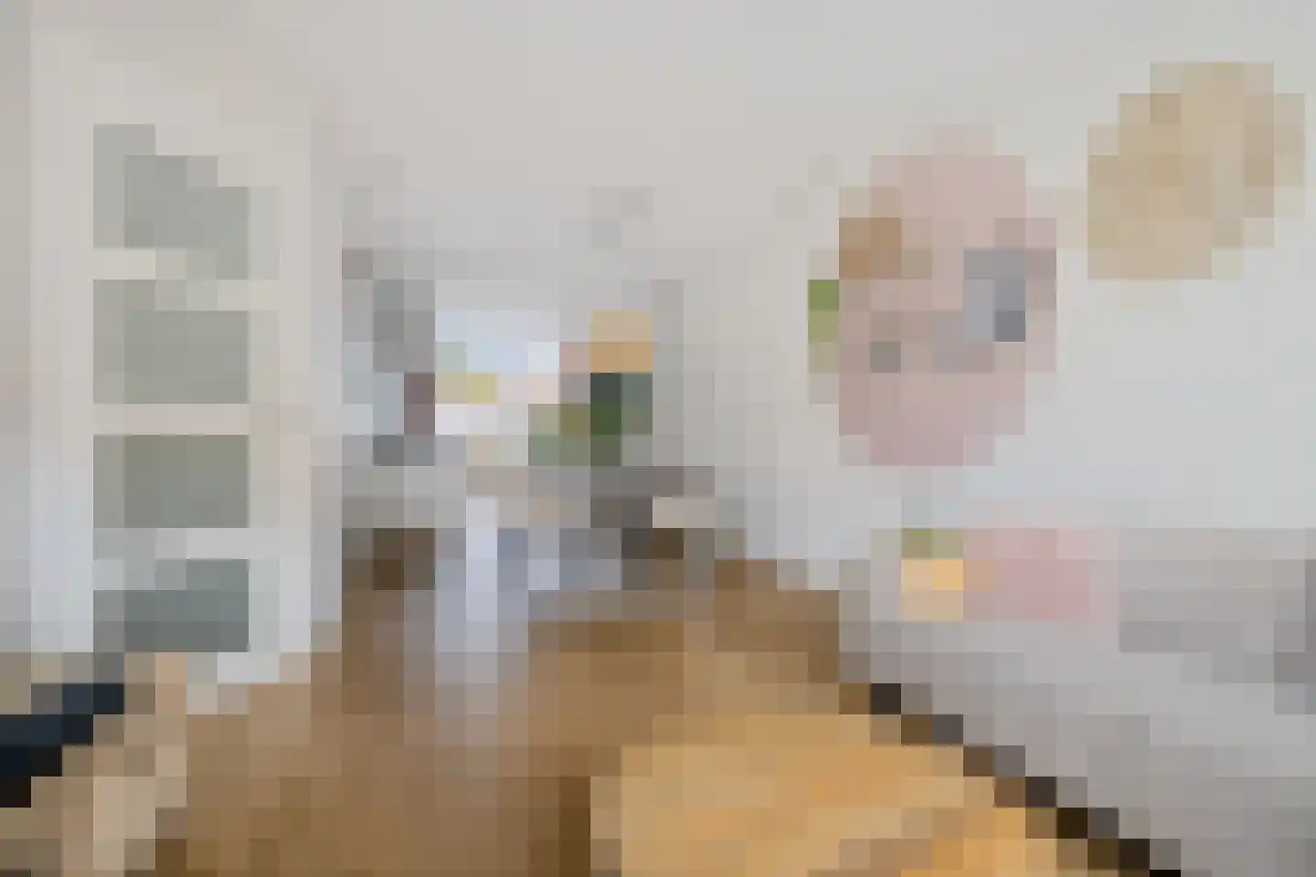 Zaagmolenstraat 6 Alkmaar thumbnail 15