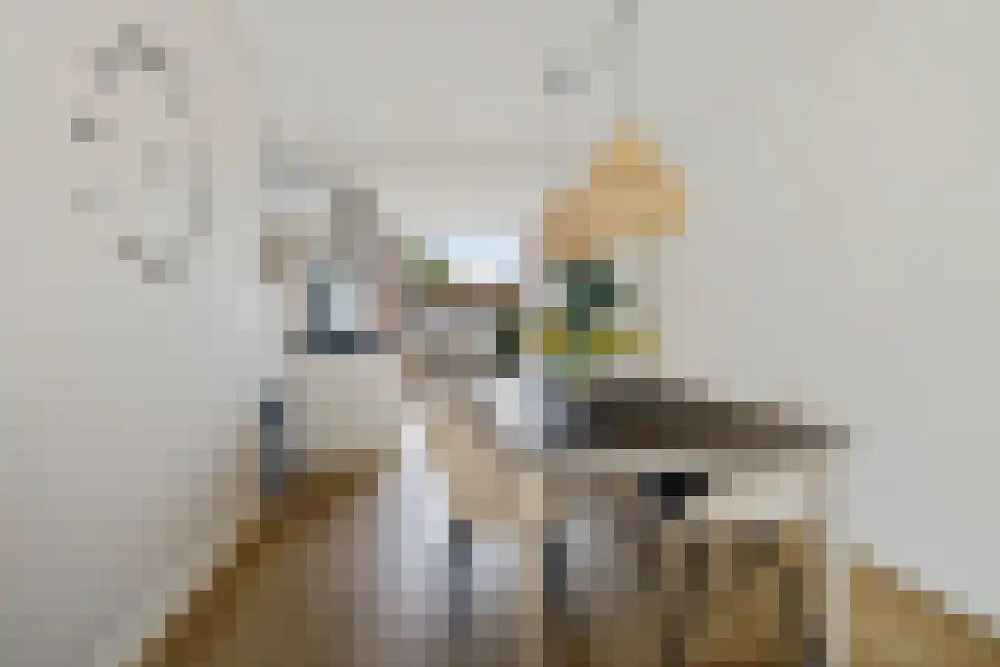 Zaagmolenstraat 6 Alkmaar thumbnail 16