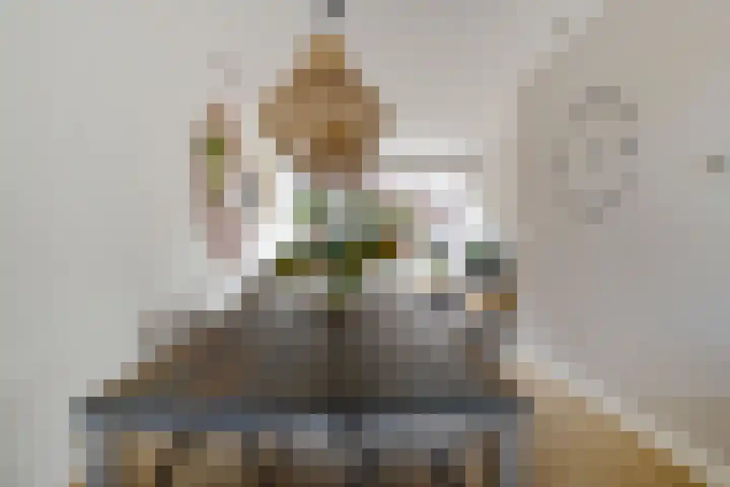 Zaagmolenstraat 6 Alkmaar thumbnail 17