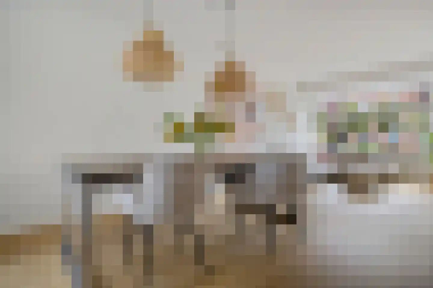 Zaagmolenstraat 6 Alkmaar thumbnail 18